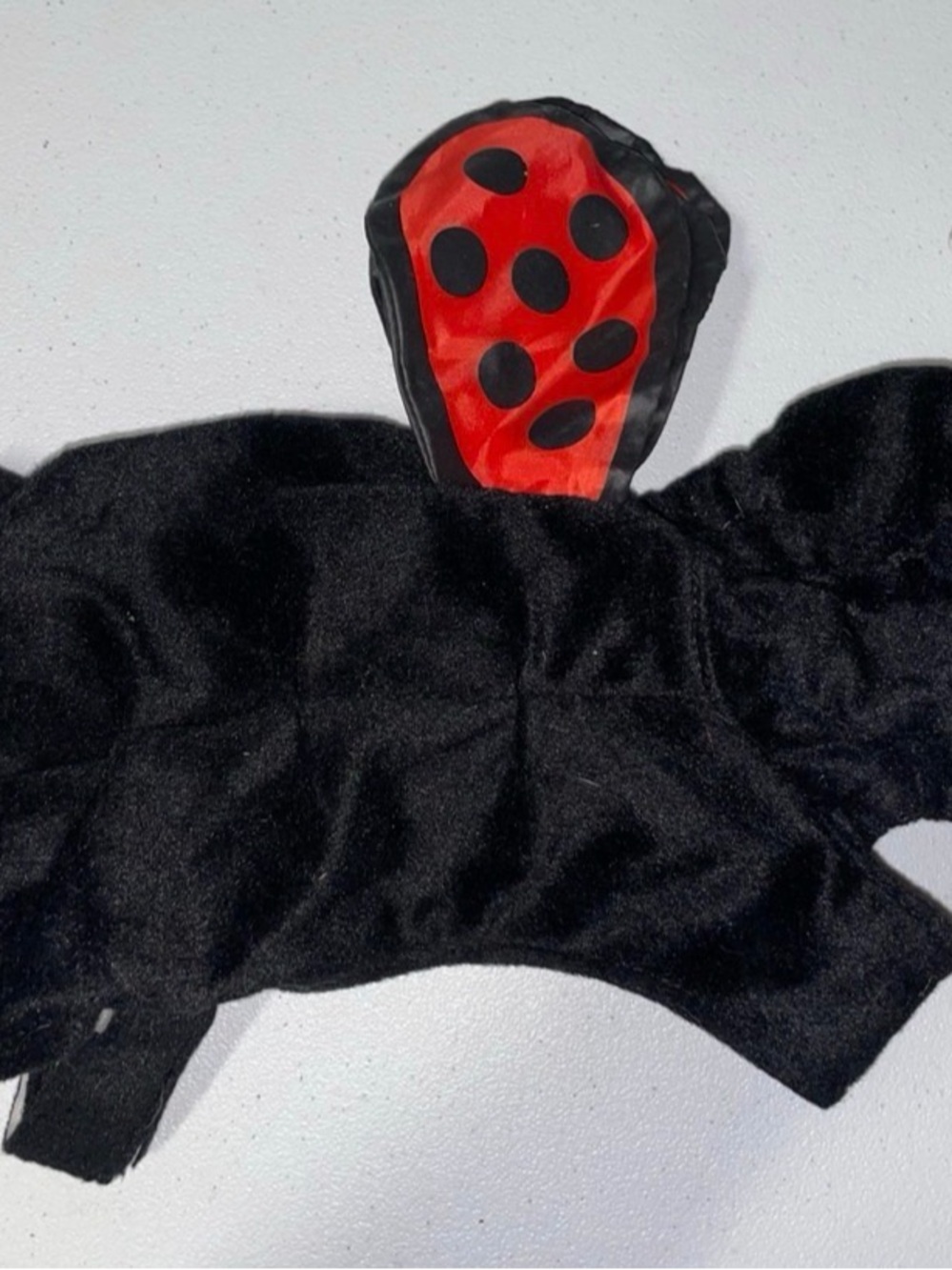 Halloween Costume: Ladybug Dog (Small)